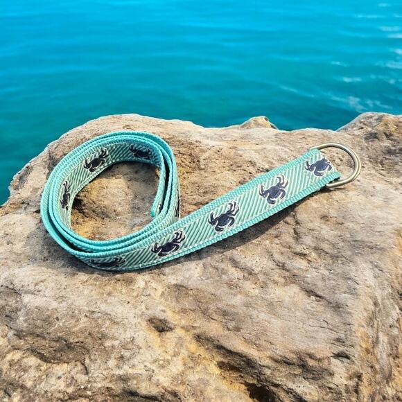 LL Bean Crab Ribbon Belt Sz Medium Large Aqua Blue Turquoise Blue D Ring 43" - Picture 12 of 12